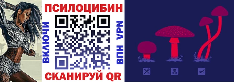 купить  цена  Николаевск  Псилоцибиновые грибы Psilocybe 